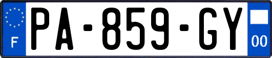 PA-859-GY