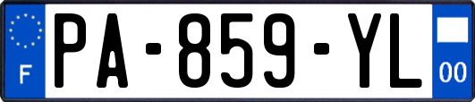 PA-859-YL
