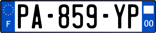 PA-859-YP