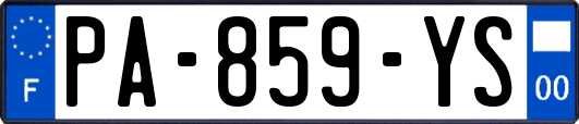 PA-859-YS