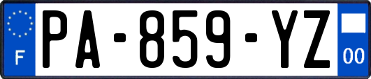 PA-859-YZ