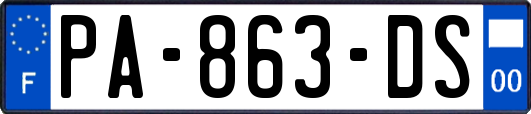 PA-863-DS