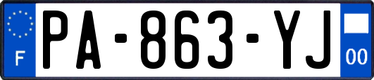 PA-863-YJ