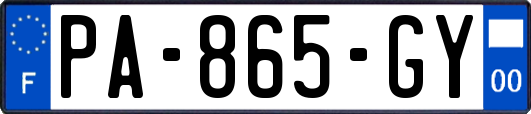 PA-865-GY