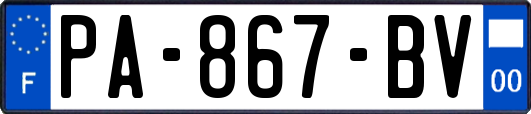 PA-867-BV
