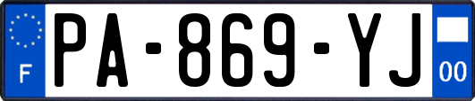 PA-869-YJ