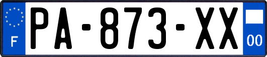 PA-873-XX