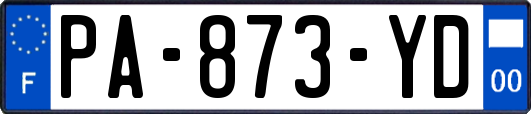 PA-873-YD