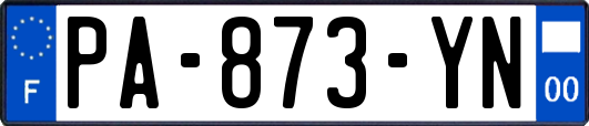 PA-873-YN
