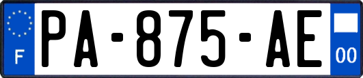 PA-875-AE