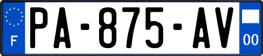 PA-875-AV