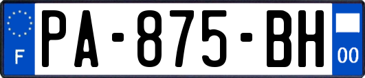 PA-875-BH