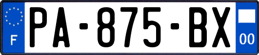 PA-875-BX