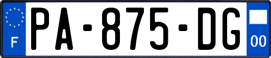PA-875-DG