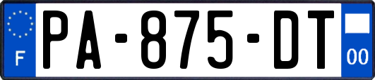 PA-875-DT