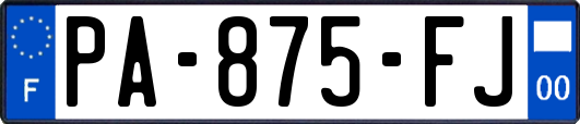 PA-875-FJ