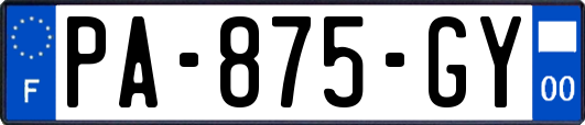 PA-875-GY