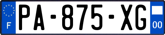 PA-875-XG