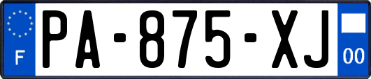PA-875-XJ