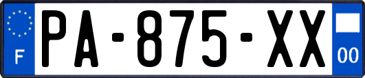 PA-875-XX