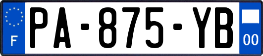 PA-875-YB
