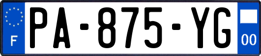 PA-875-YG