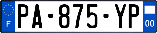 PA-875-YP