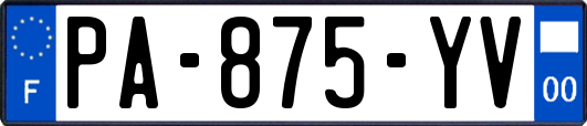 PA-875-YV