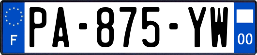 PA-875-YW