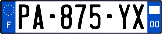 PA-875-YX
