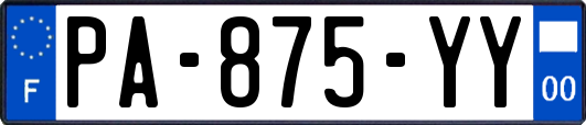 PA-875-YY