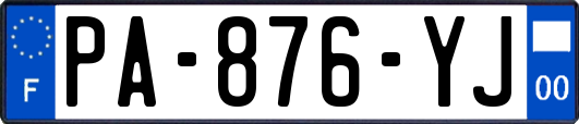 PA-876-YJ