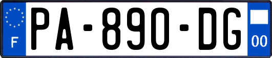 PA-890-DG