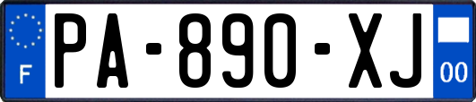 PA-890-XJ