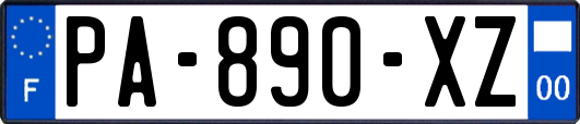 PA-890-XZ