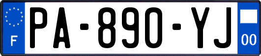PA-890-YJ