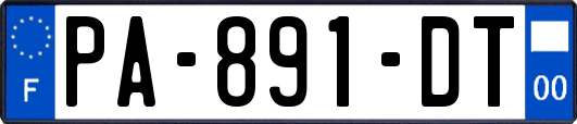 PA-891-DT