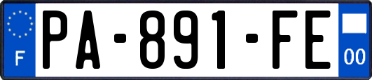 PA-891-FE