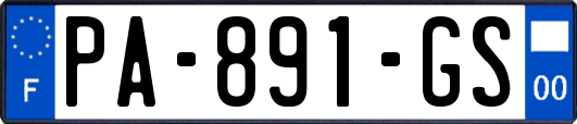 PA-891-GS