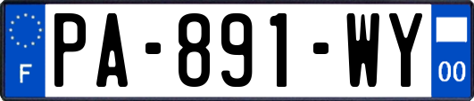 PA-891-WY