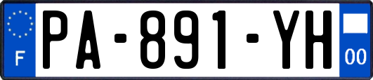 PA-891-YH