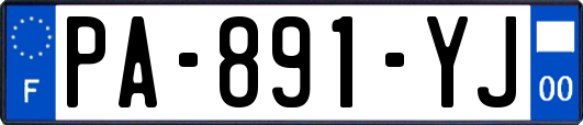 PA-891-YJ