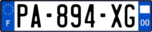 PA-894-XG