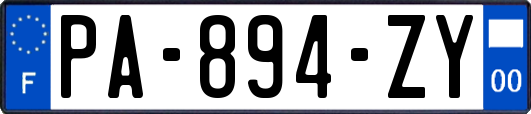 PA-894-ZY