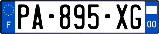 PA-895-XG