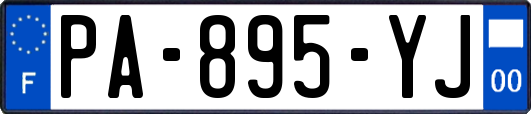 PA-895-YJ