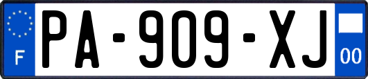 PA-909-XJ