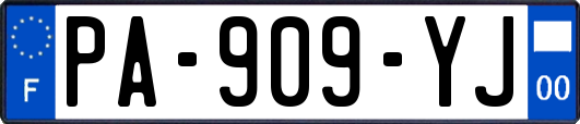PA-909-YJ