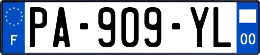 PA-909-YL