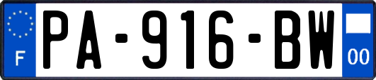 PA-916-BW